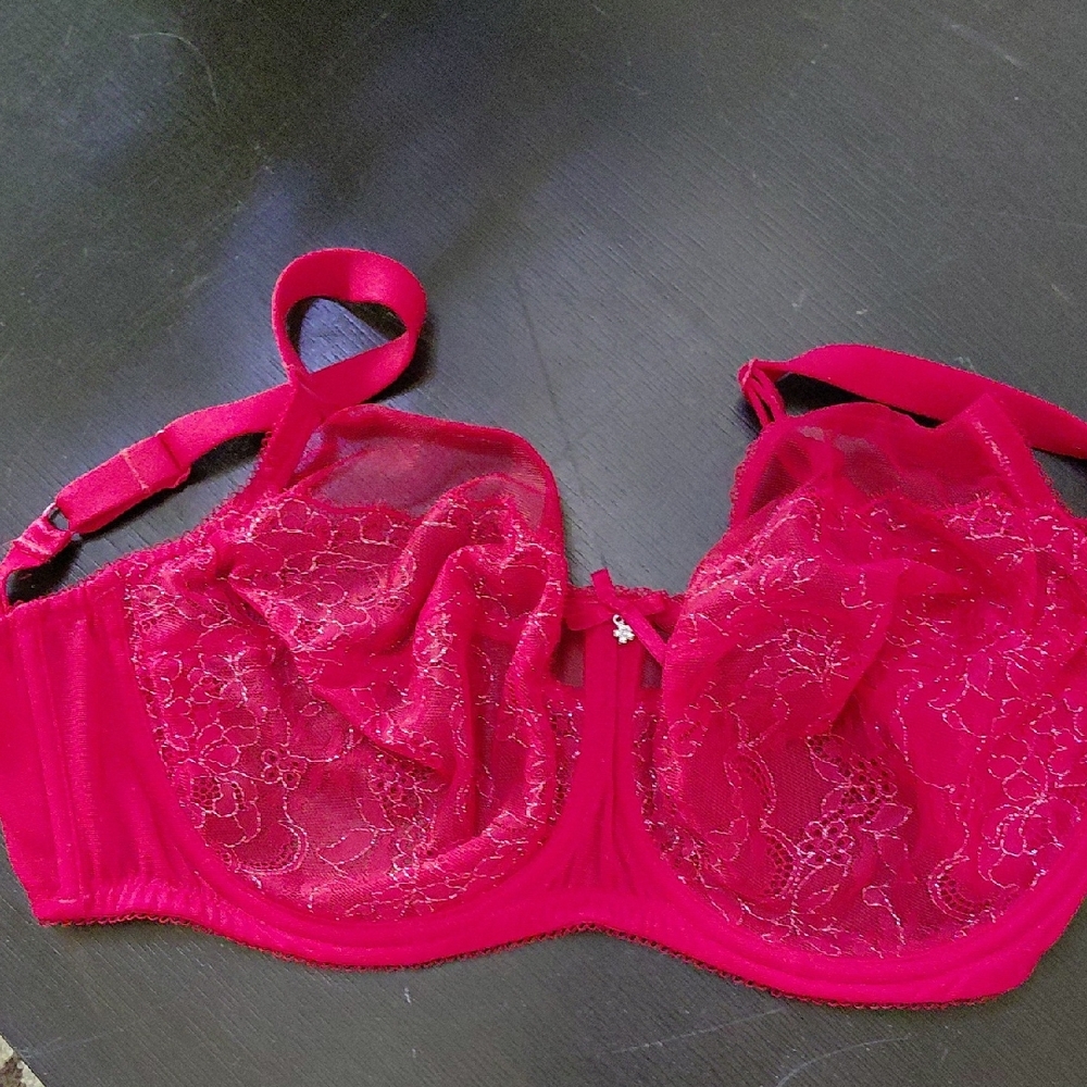 Vibrant Lace Underwire Bra